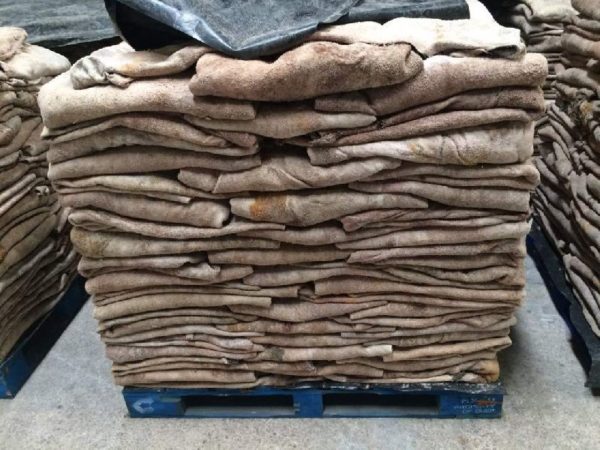 donkey-hides-1-1.jpg