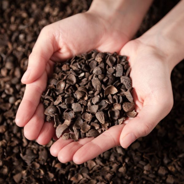 palmkernel-shells-1.jpg